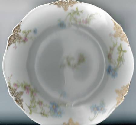 Schleiger 1041 Luncheon Plate by Haviland
