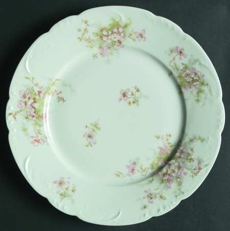 Schleiger 146A by Haviland