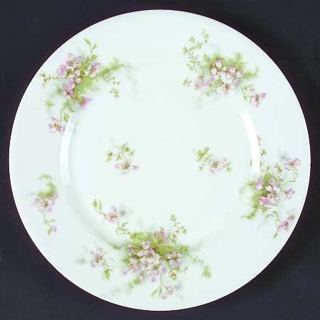 Schleiger 146D by Haviland
