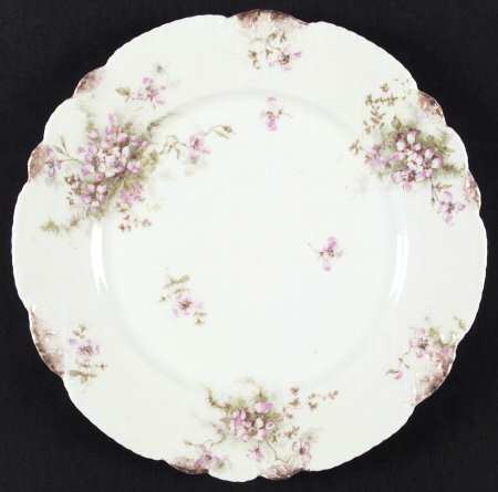 Schleiger 146O by Haviland