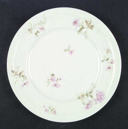 Schleiger 221f by Haviland