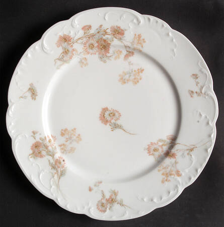 Schleiger 237 by Haviland