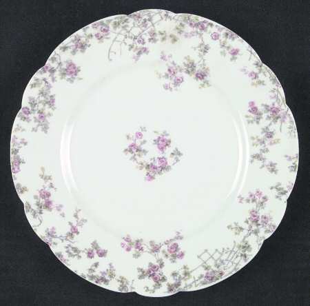 Schleiger 265 by Haviland
