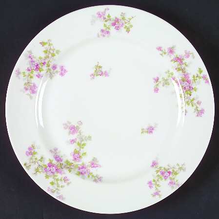 Schleiger 29a by Haviland