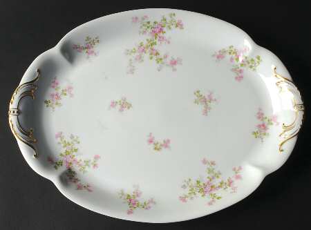 Schleiger 29a 16" Oval Serving Platter by Haviland