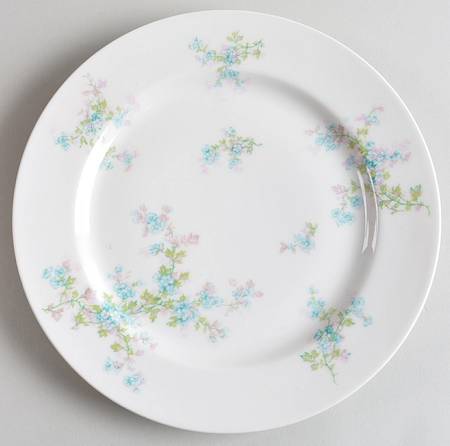 Schleiger 29i Luncheon Plate by Haviland