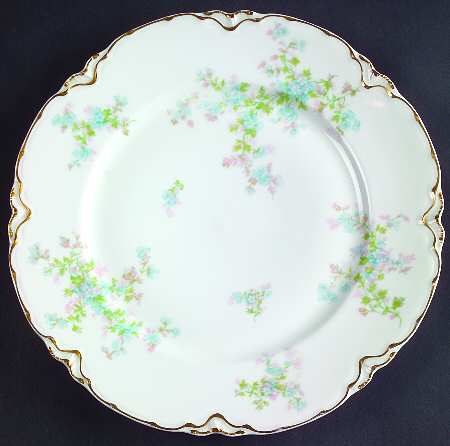 Schleiger 29n by Haviland