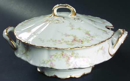 Schleiger 318D by Haviland