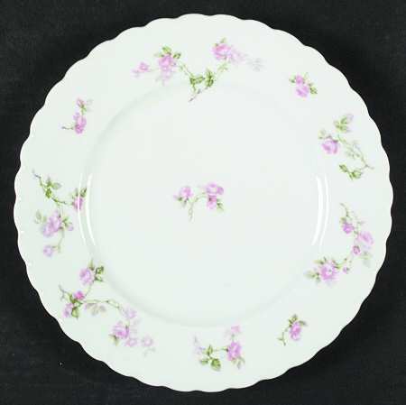 Schleiger 31b by Haviland
