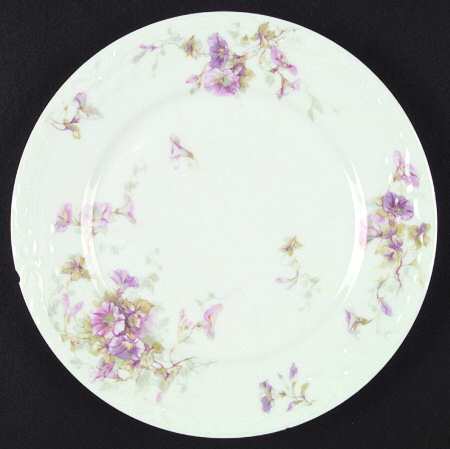 Schleiger 333t by Haviland