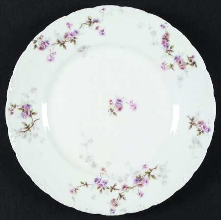Schleiger 339h by Haviland