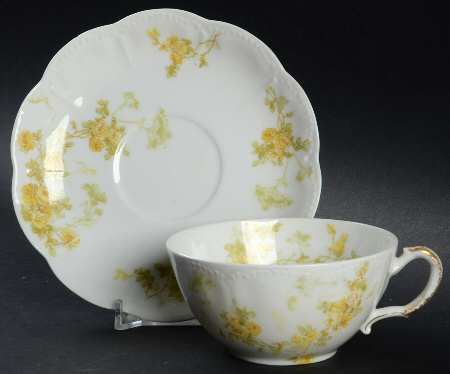 Schleiger 42d Footed Cup & Saucer Set by Haviland