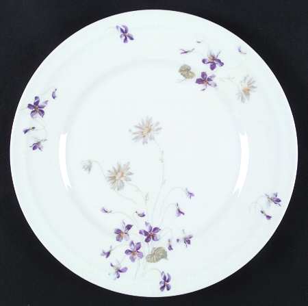Schleiger 453b by Haviland