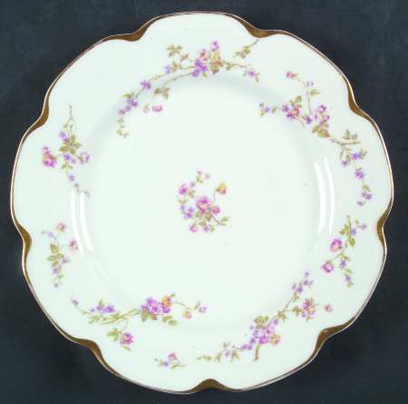 Schleiger 462b by Haviland