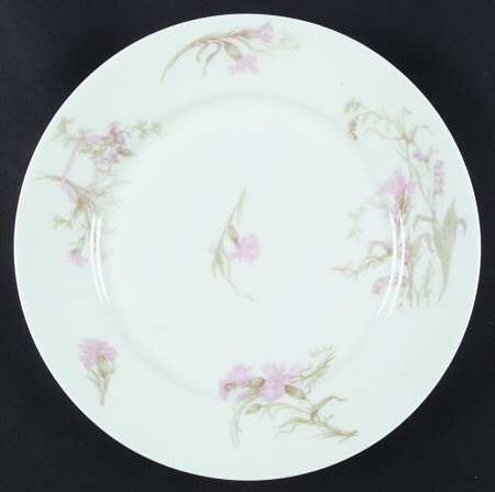 Schleiger 472f by Haviland
