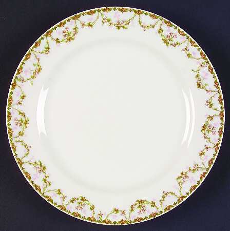 Schleiger 544a Salad Plate by Haviland
