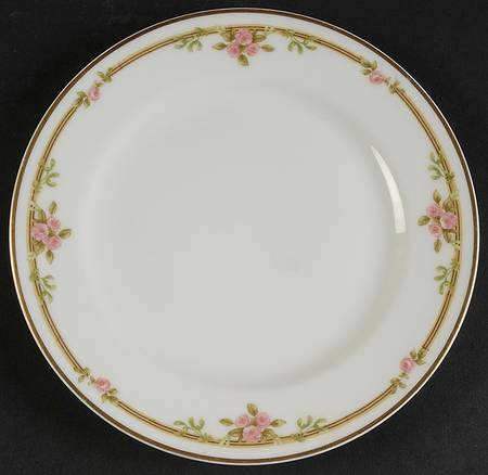 Schleiger 625A Salad Plate by Haviland