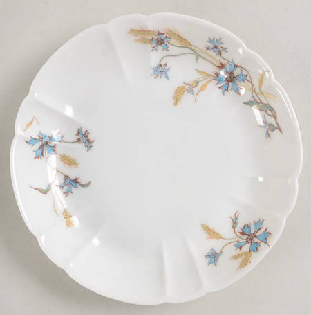 Schleiger 73 Saucer