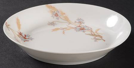 Schleiger 73h Saucer