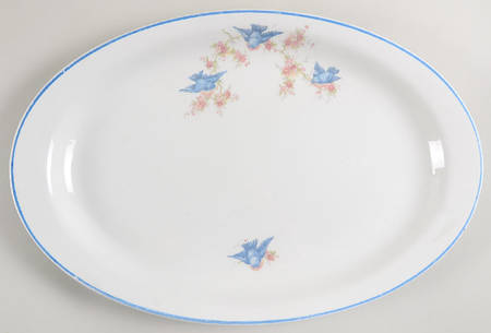 Bluebird (Blue Trim) 14" Oval Serving Platter