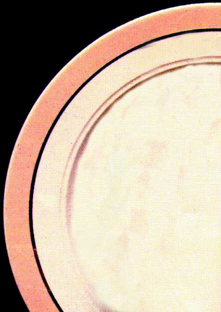 Lacosta Peach by Homer Laughlin 