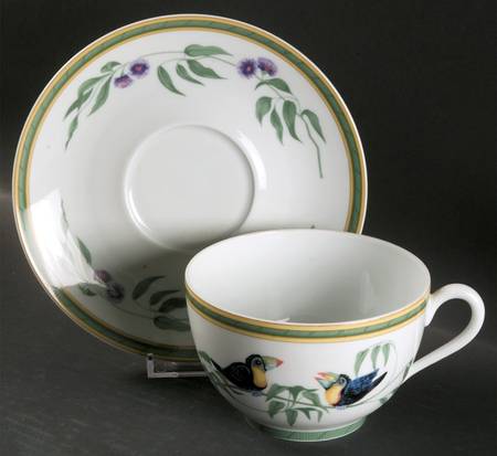 Toucans (Birds) Breakfast Cup & Saucer Set