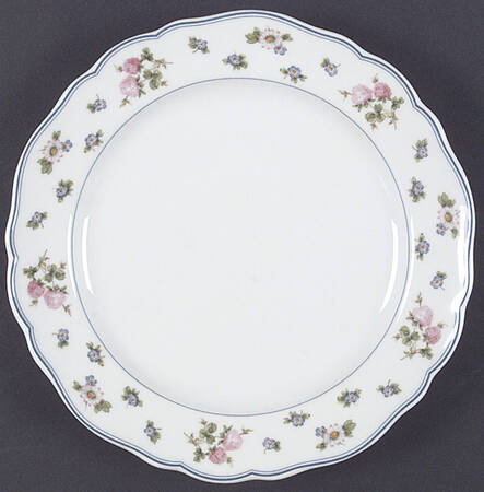 Amalienburg (Floral Rim) by Hutschenreuther