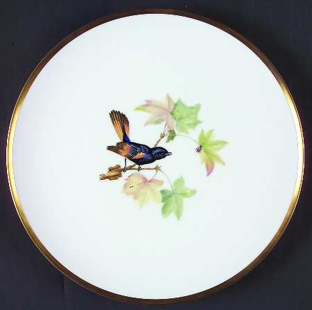 Audubon Bird Dinner Plate