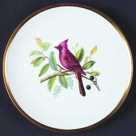 Audubon Bird Salad Plate