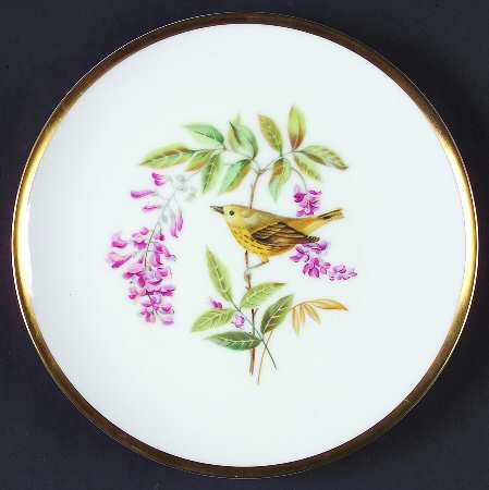 Audubon Bird Salad Plate