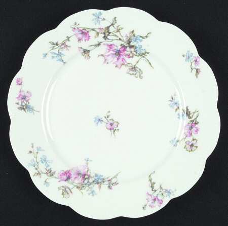 Schleiger 224b by Haviland