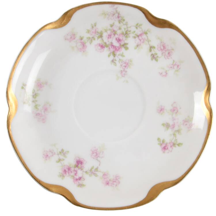 Schleiger 67J Saucer