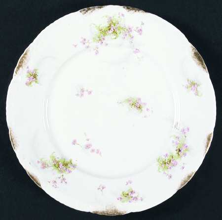 Schleiger 836d by Haviland
