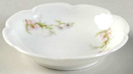 Schleiger 1043-1 by Haviland