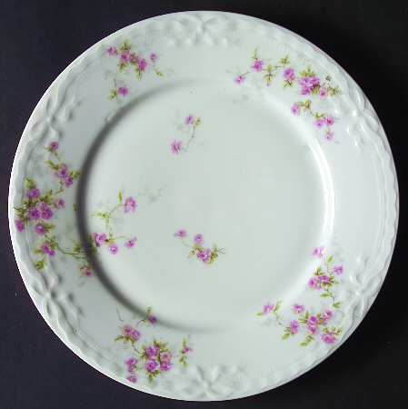 Schleiger 150f by Haviland