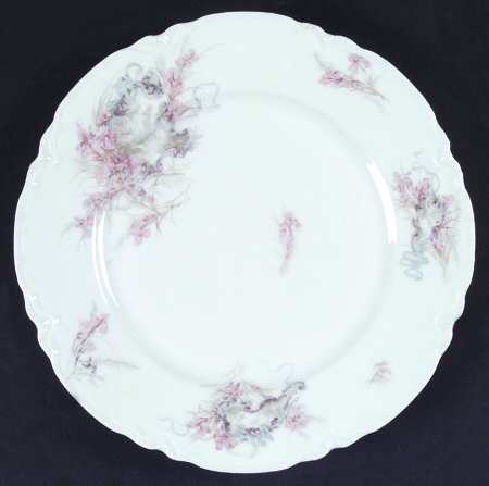Schleiger 482b by Haviland