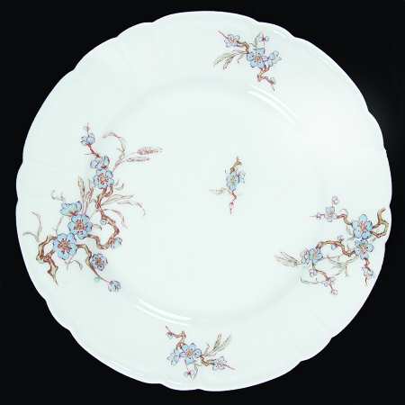 Schleiger 222-2 by Haviland