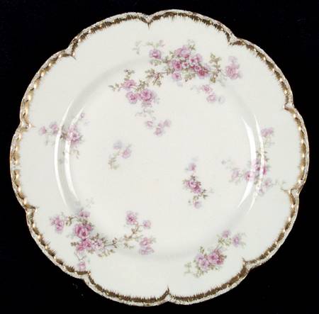 Schleiger 1173a by Haviland