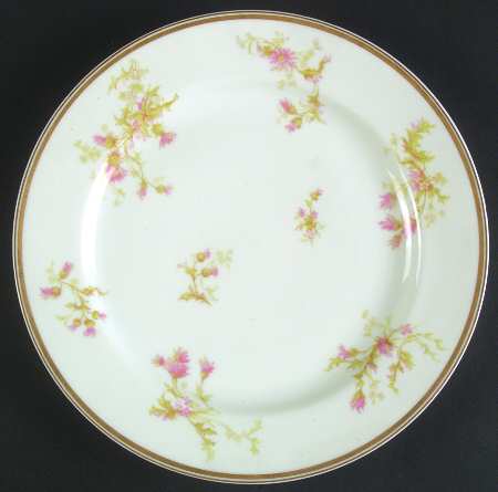 Schleiger 41g by Haviland