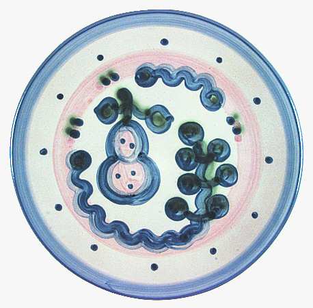 Pear and Grape Blue by M A Hadley