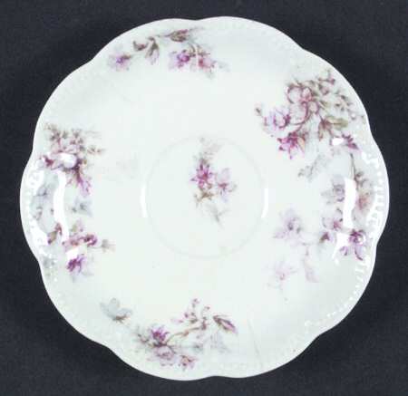Schleiger 91f Saucer