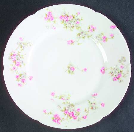 Schleiger 320-7 by Haviland