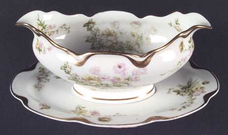 Schleiger 261h by Haviland