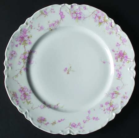 Schleiger 248-3 by Haviland