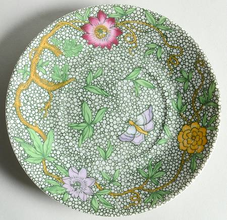 Parakeet Saucer