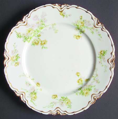 Schleiger 261r by Haviland