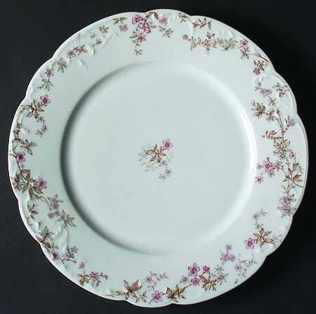 Schleiger 81A by Haviland