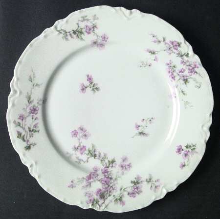 Schleiger 58G by Haviland