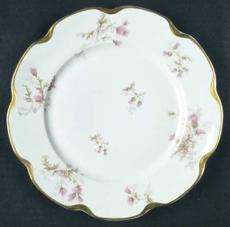 Schleiger 41i by Haviland