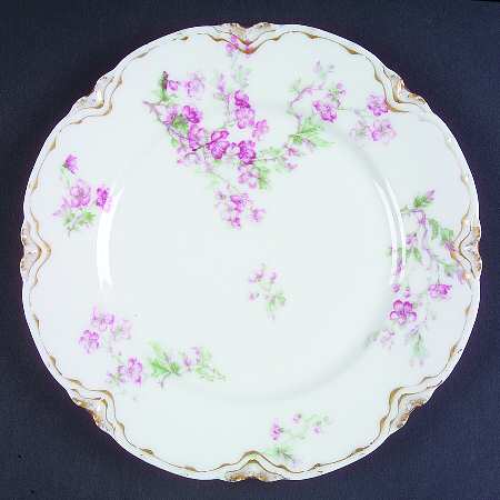 Schleiger 58i by Haviland